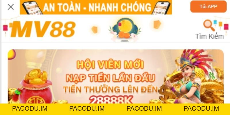 Tải App MV88 Tham Gia Cá Cược Nhận Ngay 88K Miễn Phí